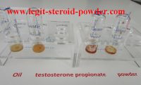 Testosterone Propionate Dosages